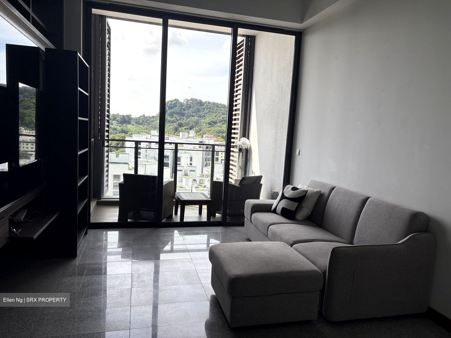 The Hillier (D23), Apartment #576263711